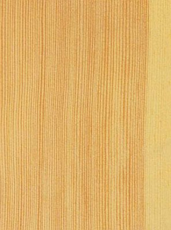 Kiefer | CDM Holzfenster